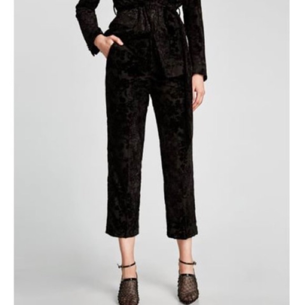 Zara shimmering velvet pants